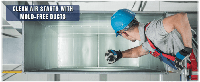 Air Duct Mold Removal in Fort Worth TX