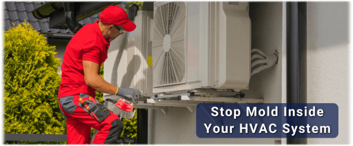 HVAC Mold Removal Fort Worth TX